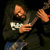 Wild Dogs - Roseland Theater : 